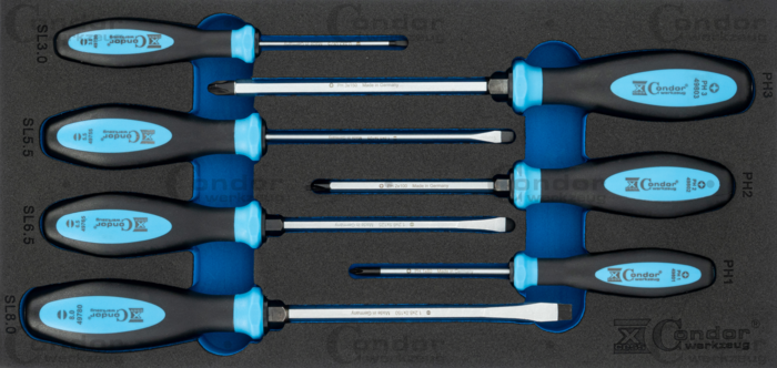 Tournevis Cruciforme Pour BMW/MINI - Compatible Séries 1,3,5,6,7,8,X1,X3,X5,X6,Z1,Z3,Z4,Z8
