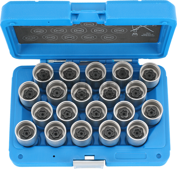 Douilles pour démontage écrou antivol Volvo 20 pcs