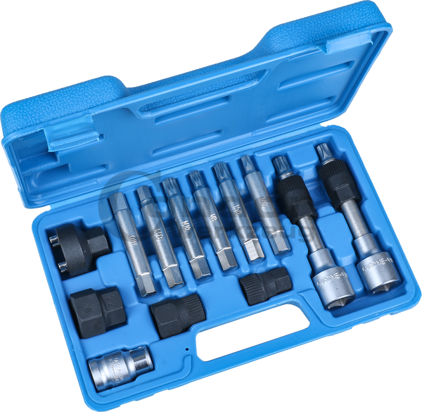 Sensecrol Outils de dépose de poulie de Roue Libre dembrayage dalternateur de Spline 